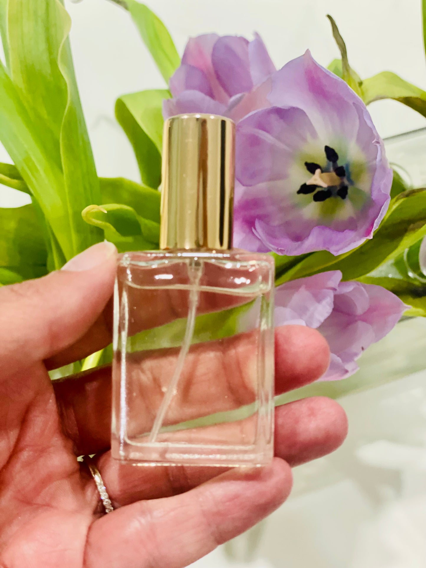 Santal Eau de Parfume- Coming Soon!