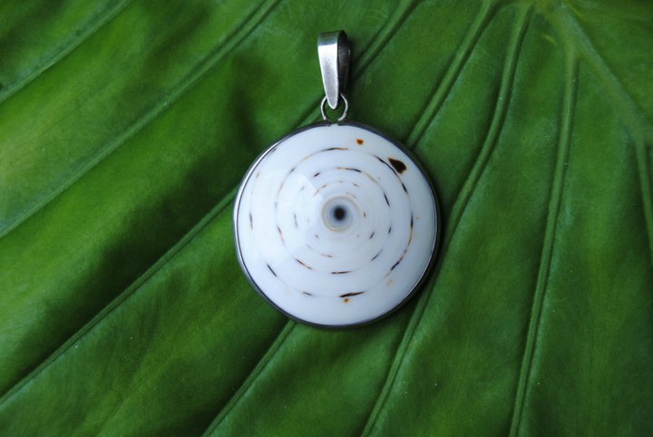 LARGE DOUBLE SIDED STERLING SILVER SHELL PENDANT WITH YELLOW ACCENT SWIRLS