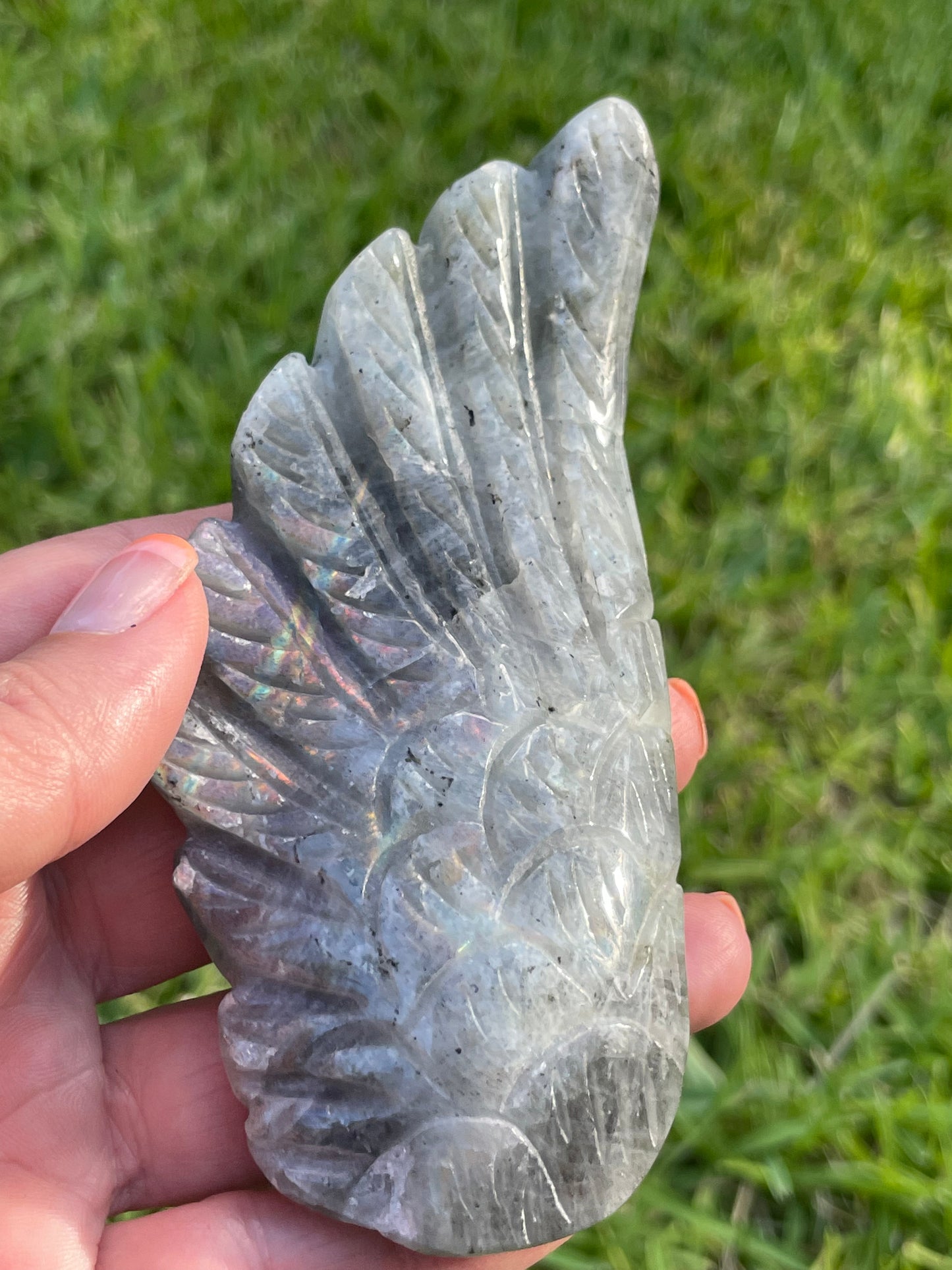 Labradorite Angel Wings with Gold Stand