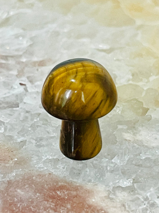 MUSHROOM TIGER’s EYE