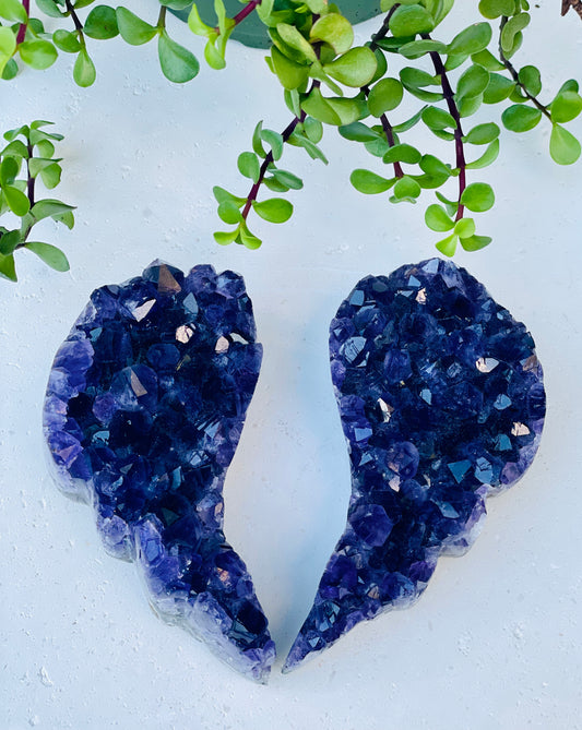 Large Amethyst Wing Set