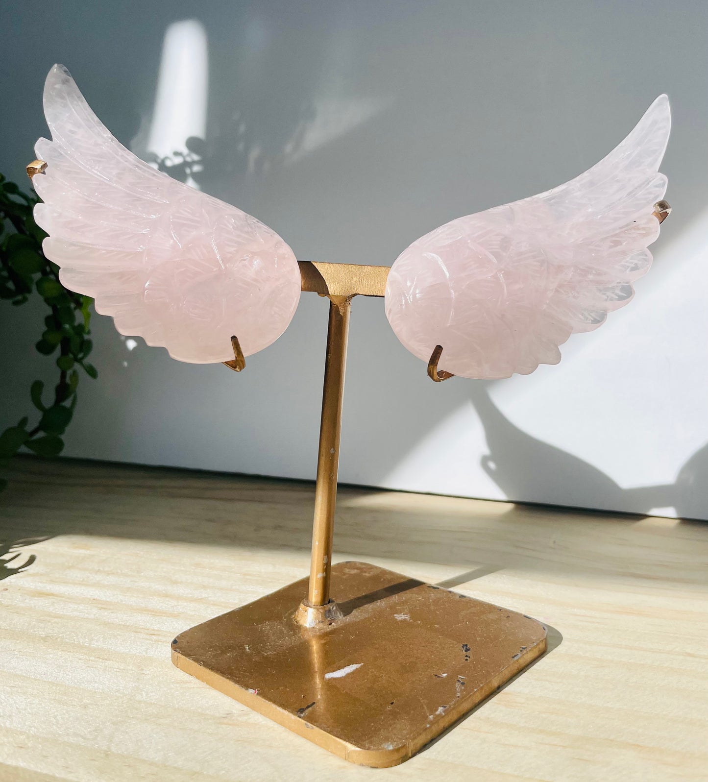 Rose Quartz Angel Wings with Gold Stand