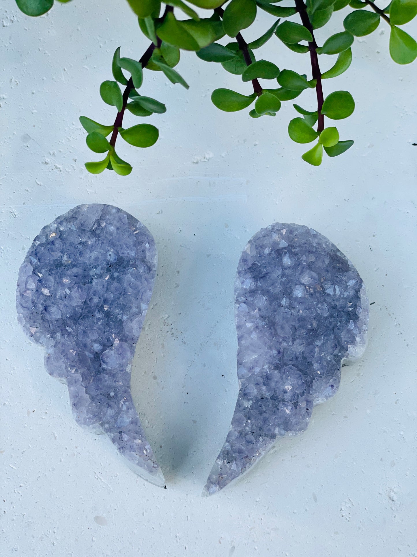 Lavender Amethyst Wing Set