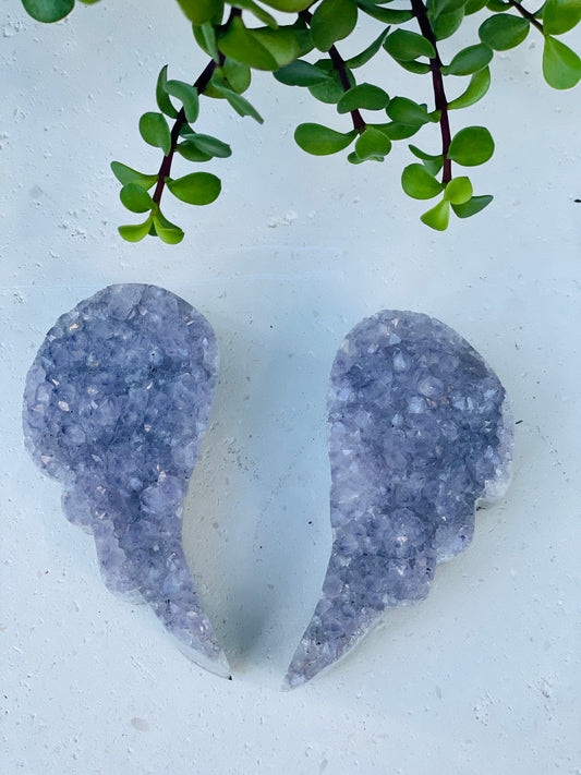 Lavender Amethyst Wing Set