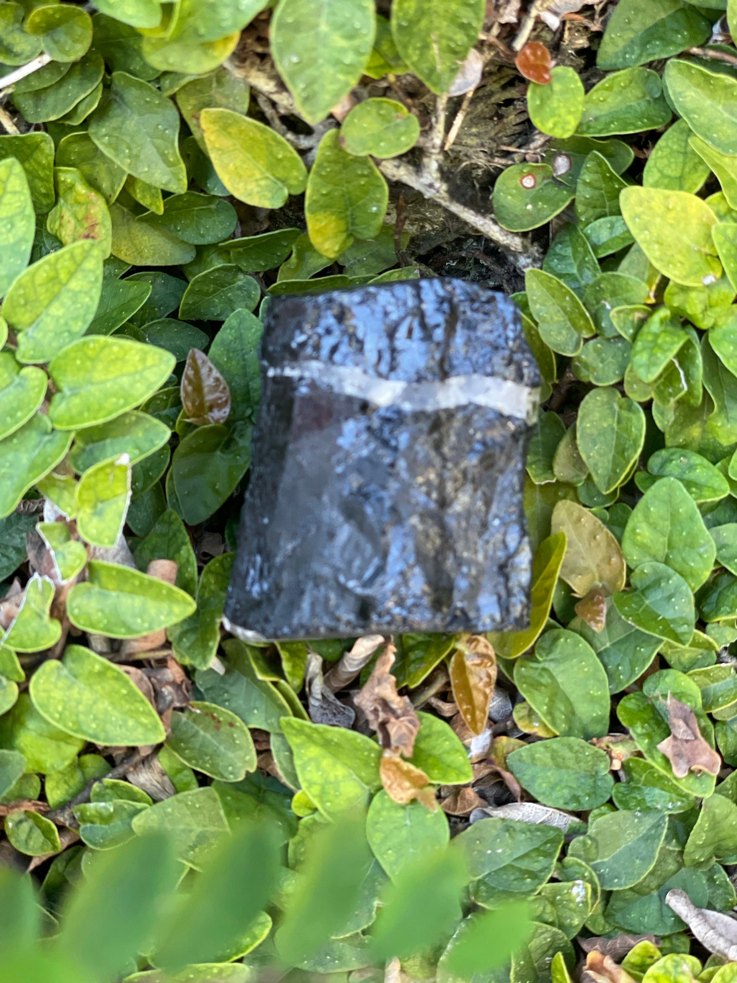 BLACK TOURMALINE WITH MICA